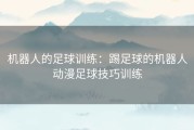 机器人的足球训练：踢足球的机器人动漫足球技巧训练