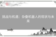 挑战与机遇：杂叠机器人的现状与未来