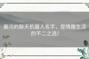 最污的聊天机器人名字，是情趣生活的不二之选！