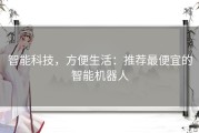 智能科技，方便生活：推荐最便宜的智能机器人