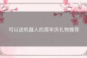 可以送机器人的周年庆礼物推荐
