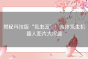 揭秘科技版“昆虫园”！合体昆虫机器人图片大揭露