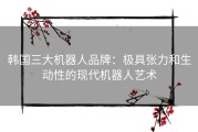 韩国三大机器人品牌：极具张力和生动性的现代机器人艺术