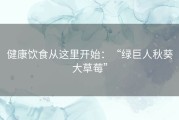 健康饮食从这里开始：“绿巨人秋葵大草莓”