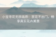 小宝寻花无损画质：赏花不出门，畅享真实花卉美景