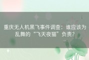 重庆无人机黑飞事件调查：谁应该为乱舞的“飞天夜猫”负责？