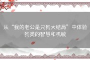从“我的老公是只狗大结局”中体验狗类的智慧和机敏