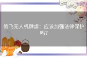 偷飞无人机肆虐：应该加强法律保护吗？