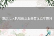 重庆无人机制造企业美誉度连年提升