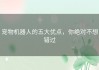 宠物机器人的五大优点，你绝对不想错过