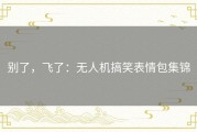 别了，飞了：无人机搞笑表情包集锦