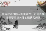 声音识别机器人的重要性：它可以捕捉需要重点关注的情绪和想法