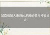 湖南机器人市场的发展前景与投资机会