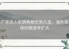 广东无人机销售额优势凸显，海外市场份额逐年扩大