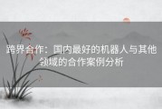 跨界合作：国内最好的机器人与其他领域的合作案例分析