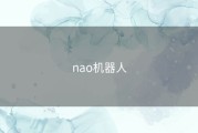 nao机器人