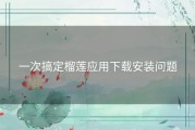 一次搞定榴莲应用下载安装问题
