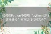 如何在Python中使用“python 运行文件路径”命令运行代码文件？