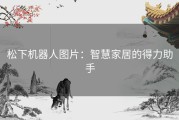 松下机器人图片：智慧家居的得力助手