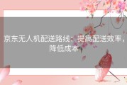 京东无人机配送路线：提高配送效率，降低成本