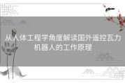 从人体工程学角度解读国外遥控瓦力机器人的工作原理