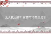 无人机山寨厂家的市场前景分析