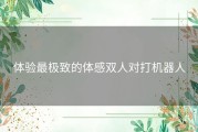 体验最极致的体感双人对打机器人