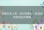 天眼去无人机：应对恶意无人机活动的有效应对策略