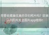 想要收藏最优美的孕妇照片吗？欧美孕妇图片大全图片app给你！