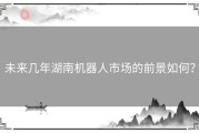 未来几年湖南机器人市场的前景如何？