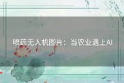 喷药无人机图片：当农业遇上AI