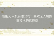 智能无人机有限公司：高效无人机摄影技术的供应商