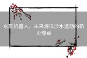 水鞋机器人，未来海洋涉水运动的新火爆点