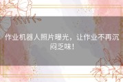 作业机器人照片曝光，让作业不再沉闷乏味！