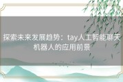 探索未来发展趋势：tay人工智能聊天机器人的应用前景