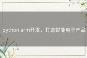 python arm开发，打造智能电子产品