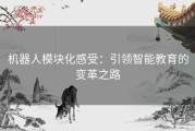 机器人模块化感受：引领智能教育的变革之路