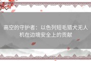 高空的守护者：以色列短毛猎犬无人机在边境安全上的贡献