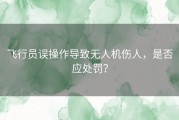 飞行员误操作导致无人机伤人，是否应处罚？