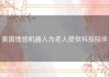 美国情感机器人为老人提供科技陪伴