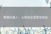 野猫机器人：让陆地巡逻更加轻松