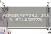 深度体验虚拟现实中国社区：虚拟游戏、第二人生与数字文明