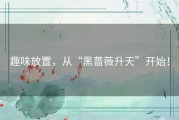 趣味放置，从“黑蔷薇升天”开始！