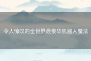 令人惊叹的全世界最豪华机器人魔法
