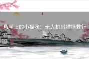 悬崖上的小猫咪：无人机吊猫拯救行动