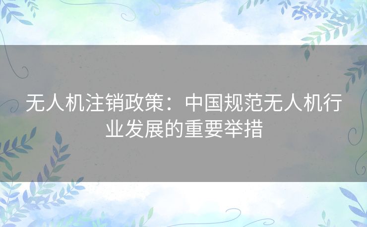 无人机注销政策：中国规范无人机行业发展的重要举措