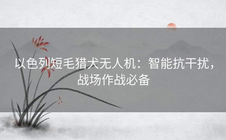 以色列短毛猎犬无人机：智能抗干扰，战场作战必备