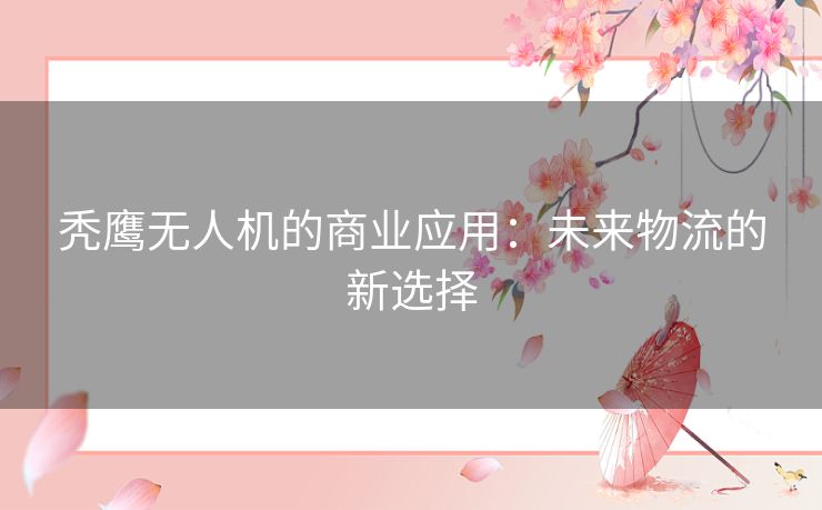 秃鹰无人机的商业应用：未来物流的新选择