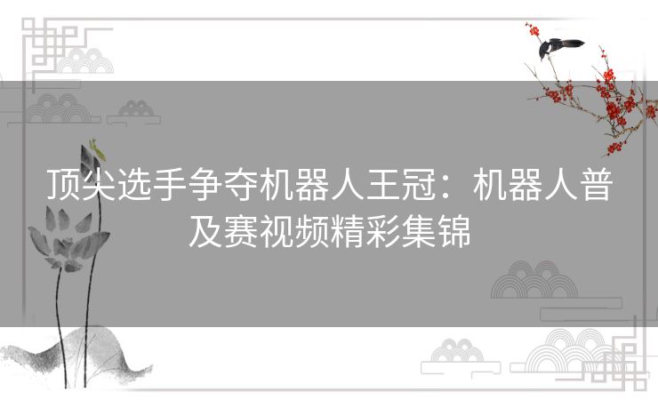 顶尖选手争夺机器人王冠：机器人普及赛视频精彩集锦