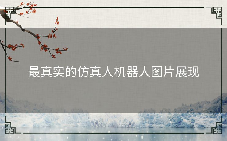 最真实的仿真人机器人图片展现